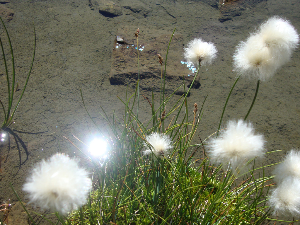 DSC04778_JPG-1345462481