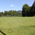 IMG_4702.JPG