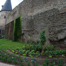 SPR_Essbare_Stadt_Andernach_Speiseraeume-1.jpg