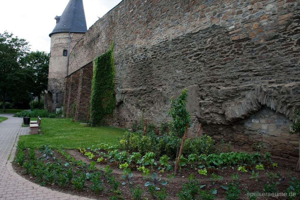 SPR_Essbare_Stadt_Andernach_Speiseraeume-1.jpg