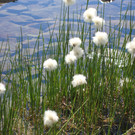 DSC04776_JPG-1345464761