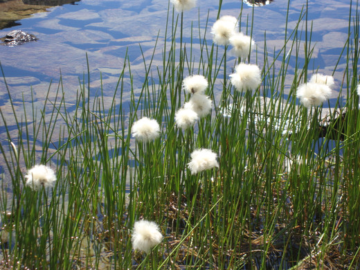 DSC04776_JPG-1345464761