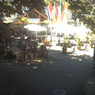 Livecam Kressbronn (GER)