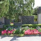 IMG_4666.JPG