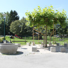 IMG_4693.JPG
