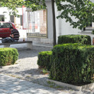 DSCN7926_JPG-1345467813