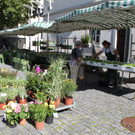 IMG_3193.JPG