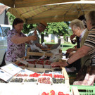 IMG_3225.JPG