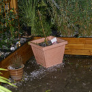 Hagel in Altach 1.JPG