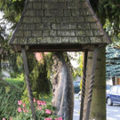 IMG_7200 _Medium__jpg-1345530731