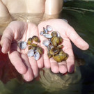 IMG_20120810_163747_jpg-1345531535