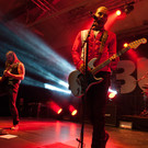 Bush by BEATE RHOMBERG-7_jpg-1345532504