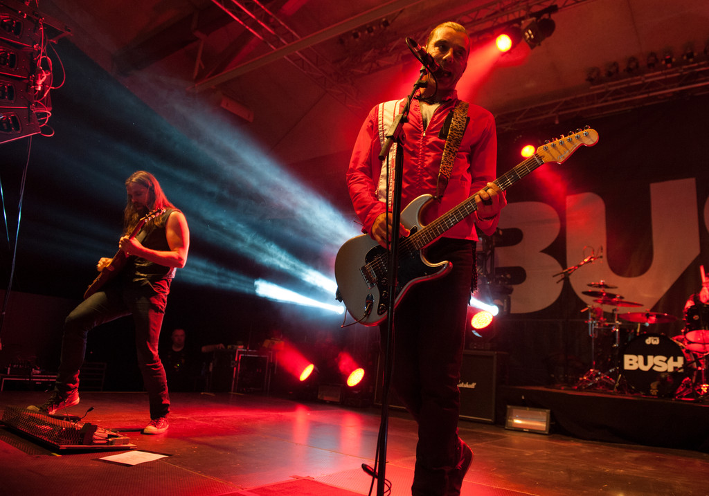 Bush by BEATE RHOMBERG-7_jpg-1345532504