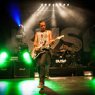 Bush by BEATE RHOMBERG-11_jpg-1345532510