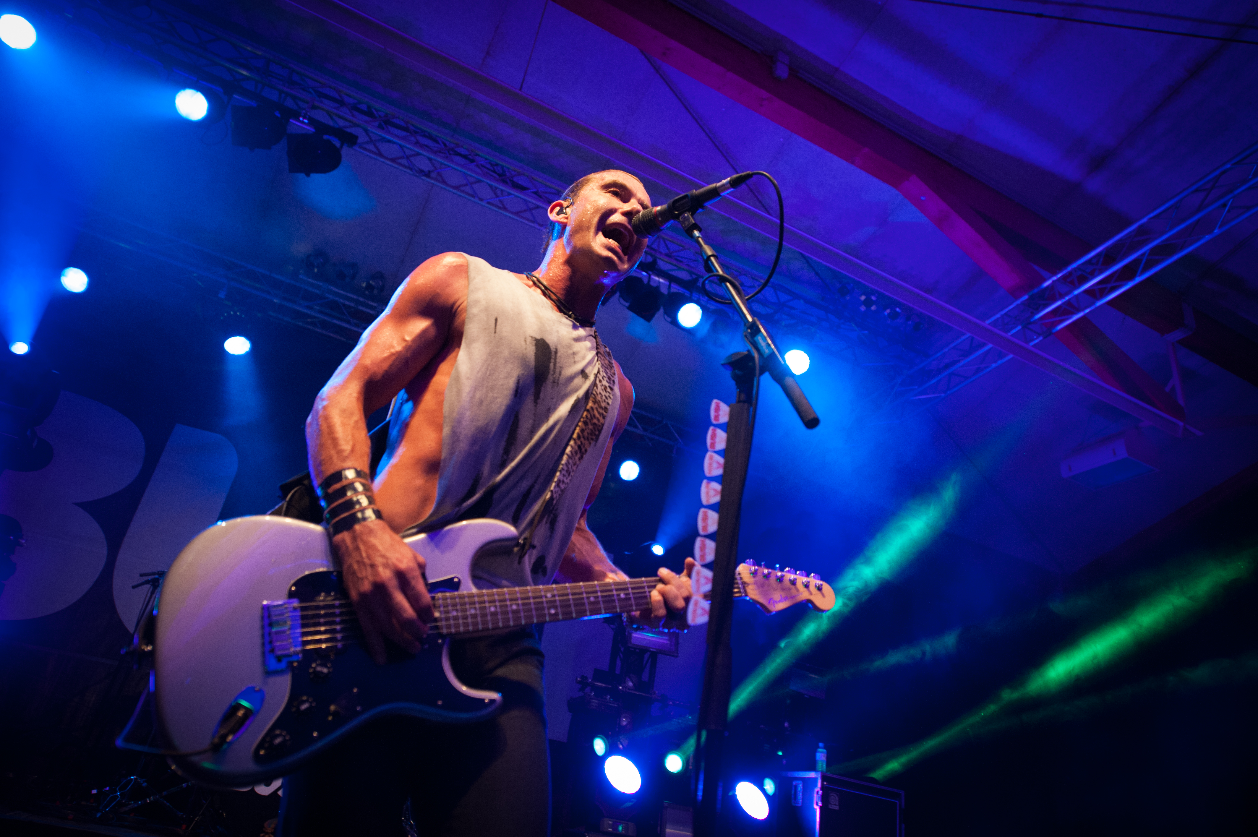 Bush by BEATE RHOMBERG-12_jpg-1345532511