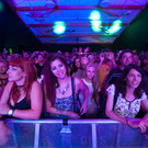 Bush by BEATE RHOMBERG-13_jpg-1345532513