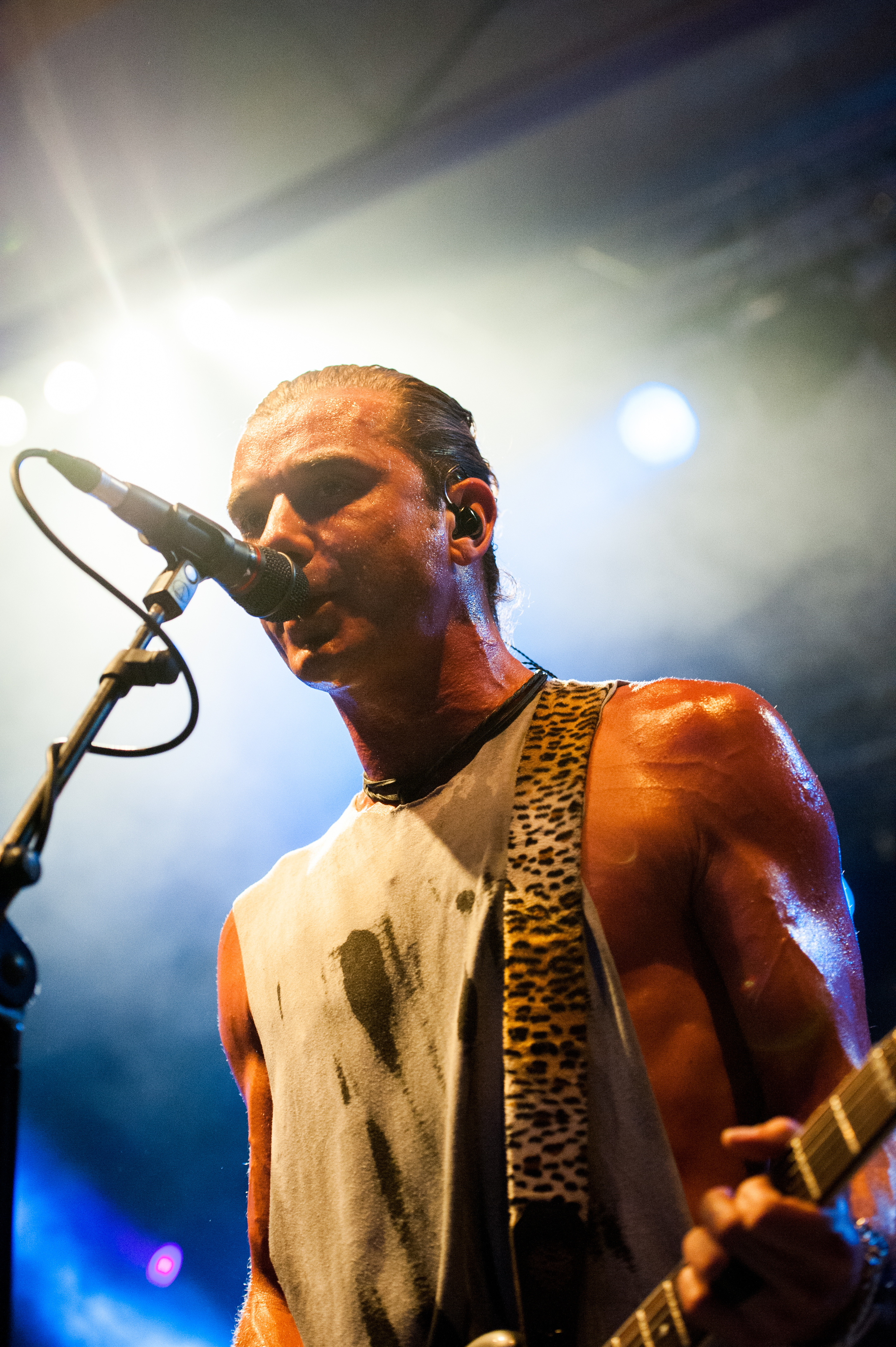 Bush by BEATE RHOMBERG-16_jpg-1345532518