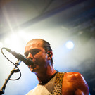 Bush by BEATE RHOMBERG-16_jpg-1345532518