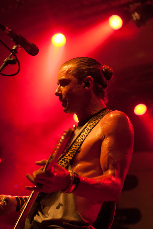 Bush by BEATE RHOMBERG-17_jpg-1345532521