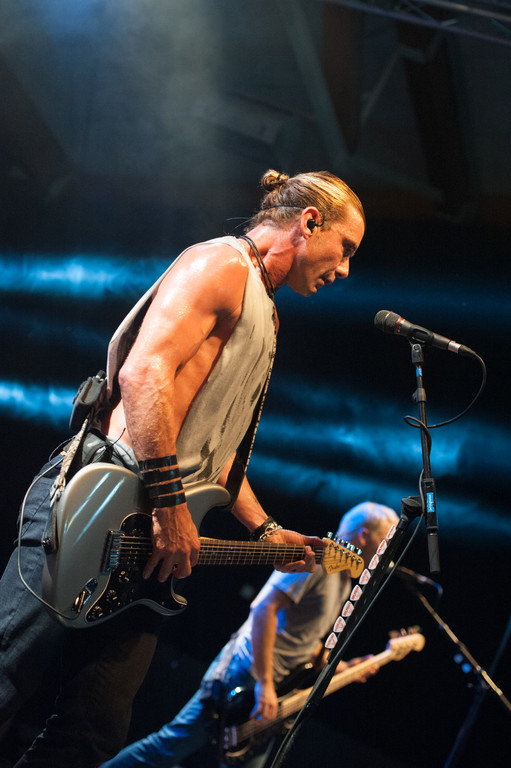 Bush by BEATE RHOMBERG-20_jpg-1345532527