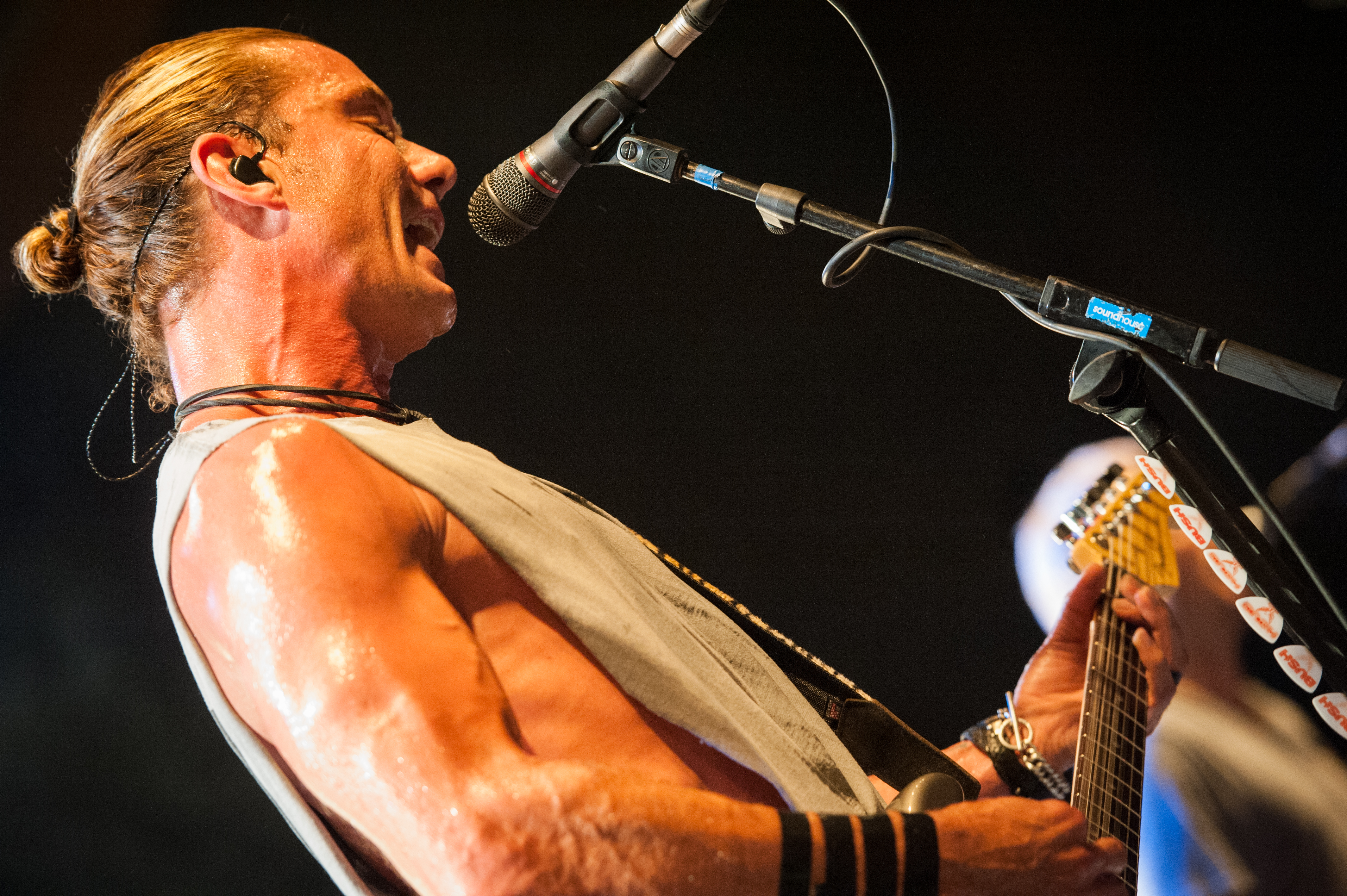 Bush by BEATE RHOMBERG-21_jpg-1345532529