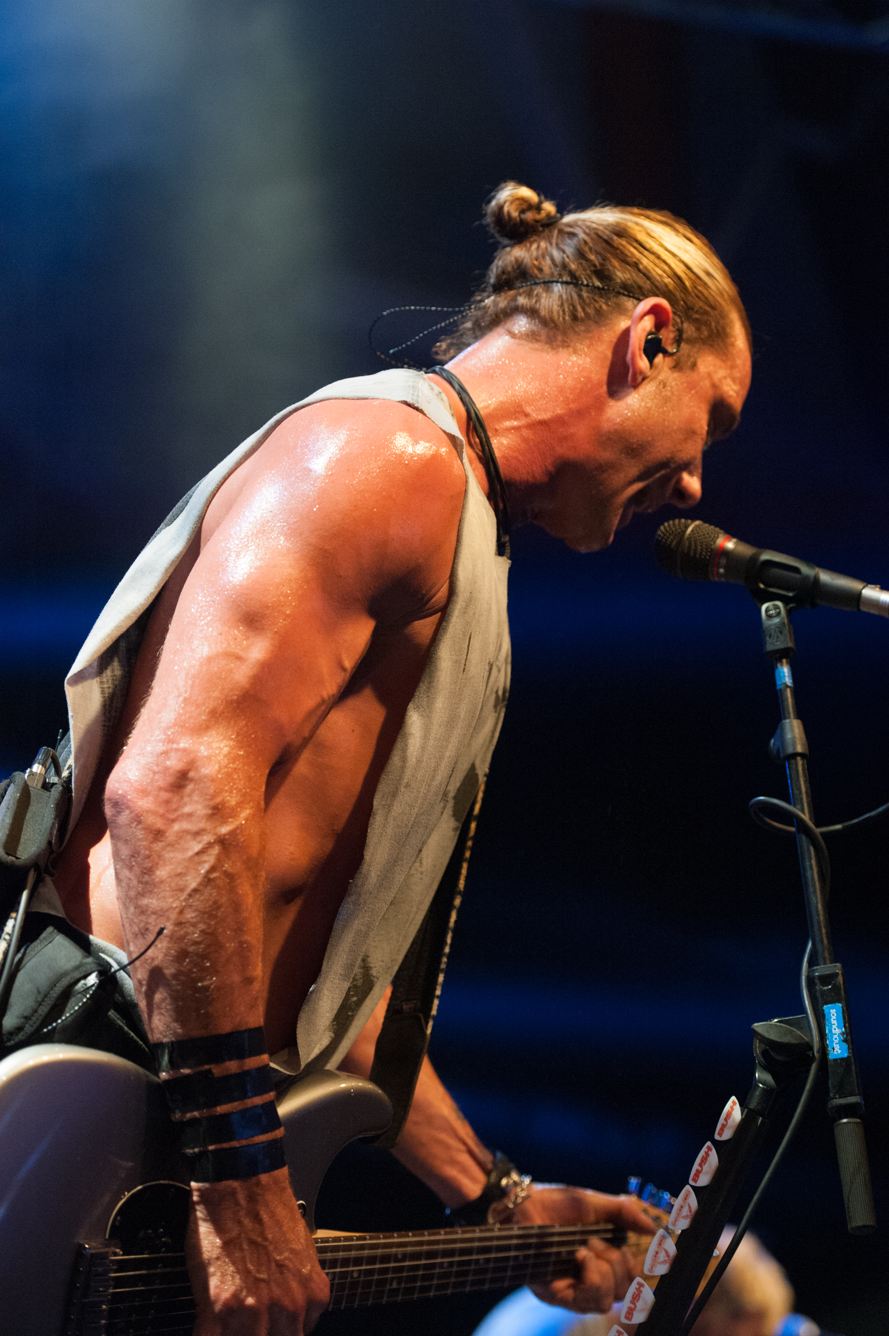 Bush by BEATE RHOMBERG-23_jpg-1345532533