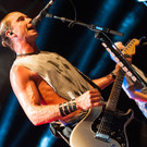 Bush by BEATE RHOMBERG-24_jpg-1345532535