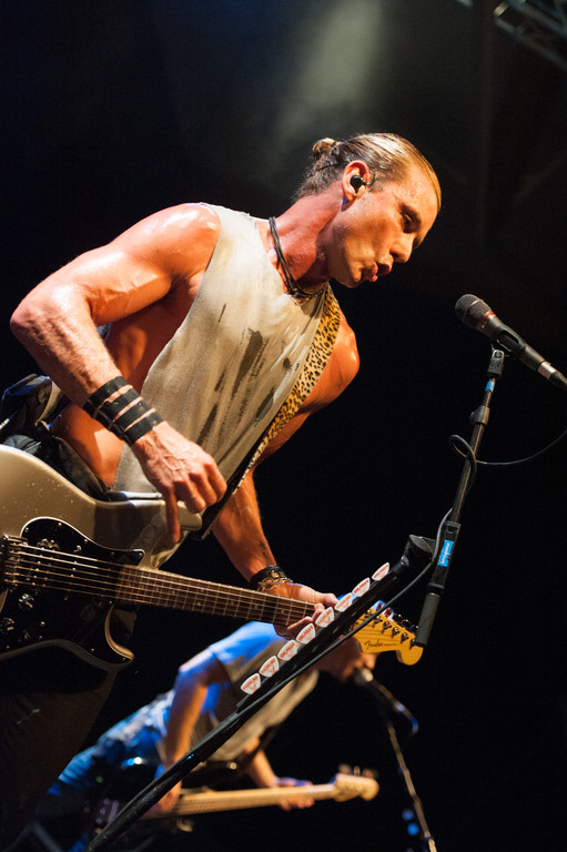 Bush by BEATE RHOMBERG-25_jpg-1345532537