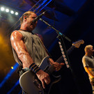 Bush by BEATE RHOMBERG-29_jpg-1345532544