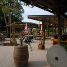 Stern_garten1.jpg