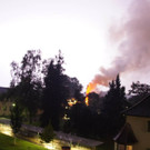 Bregenz: Blitz setzte Tanne in Brand