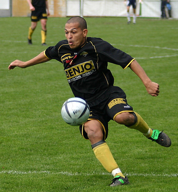 carneiro av.jpg