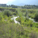 DSCN8339_JPG-1345549540