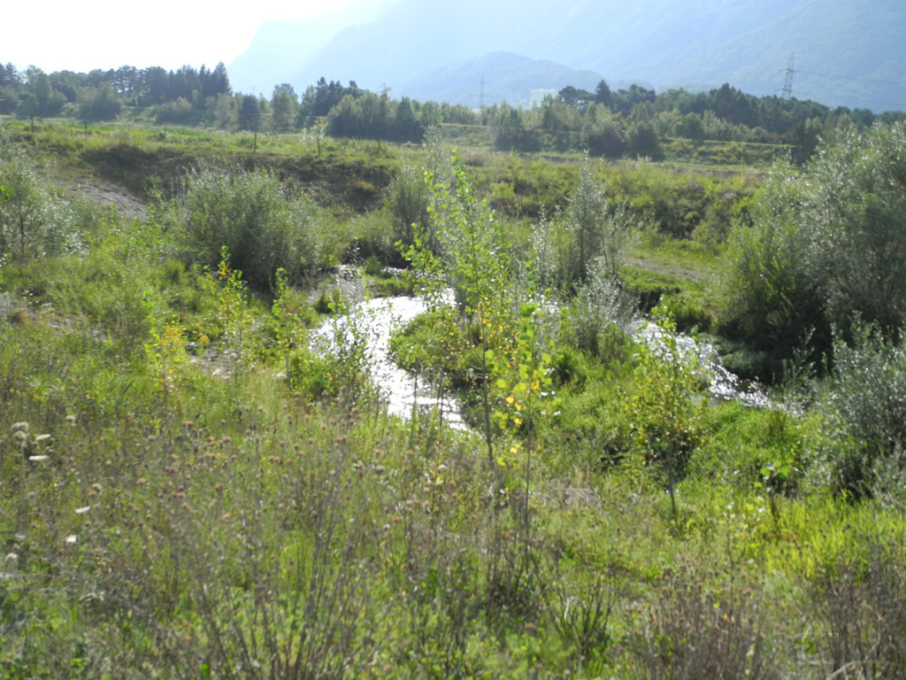 DSCN8339_JPG-1345549540