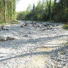 DSCN8354_JPG-1345549927