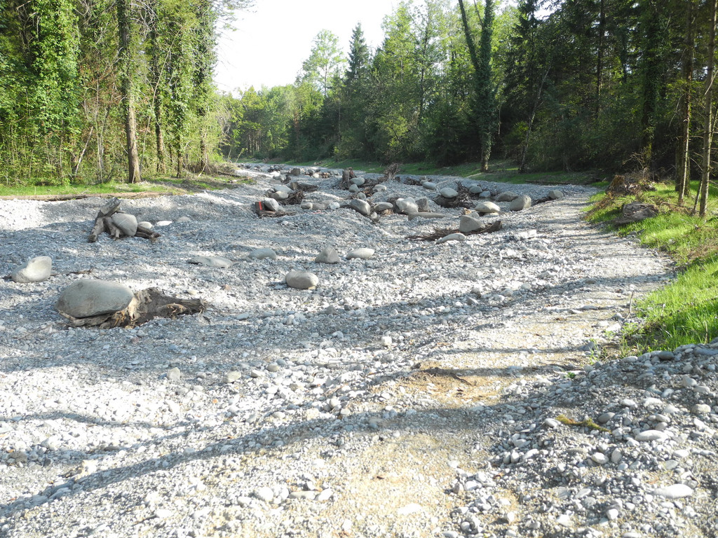 DSCN8354_JPG-1345549927