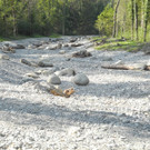 DSCN8355_JPG-1345549956