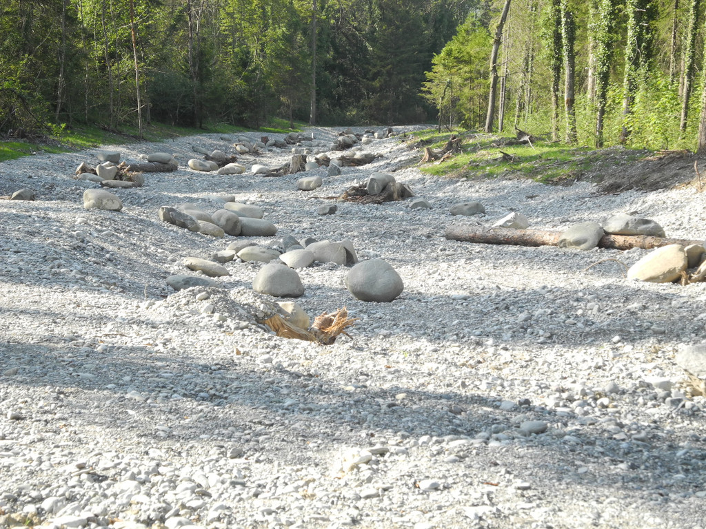 DSCN8355_JPG-1345549956