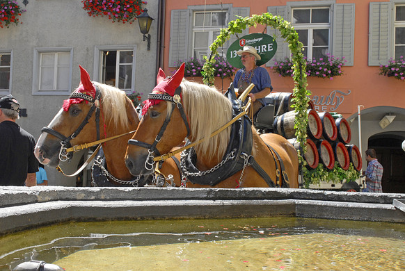 Kutschentreffen - Bludenz - 004 - _c_ Gerhard Scopoli.jpg