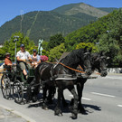 Kutschentreffen - Bludenz - 073 - _c_ Gerhard Scopoli.jpg