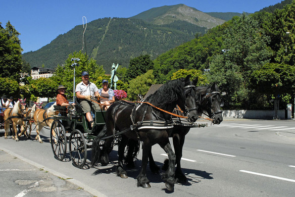 Kutschentreffen - Bludenz - 073 - _c_ Gerhard Scopoli.jpg