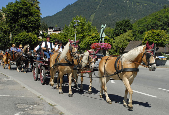 Kutschentreffen - Bludenz - 078 - _c_ Gerhard Scopoli.jpg