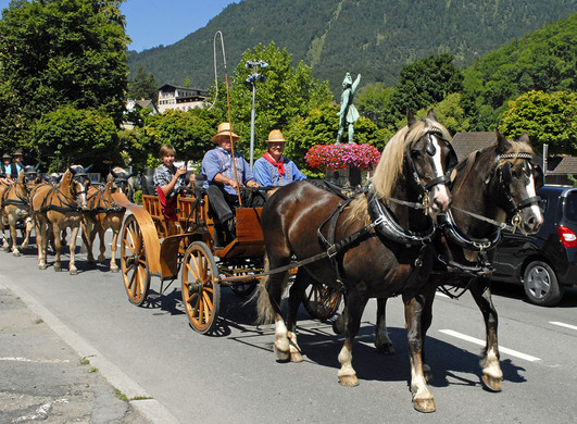 Kutschentreffen - Bludenz - 087 - _c_ Gerhard Scopoli.jpg