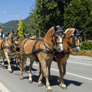 Kutschentreffen - Bludenz - 096 - _c_ Gerhard Scopoli.jpg