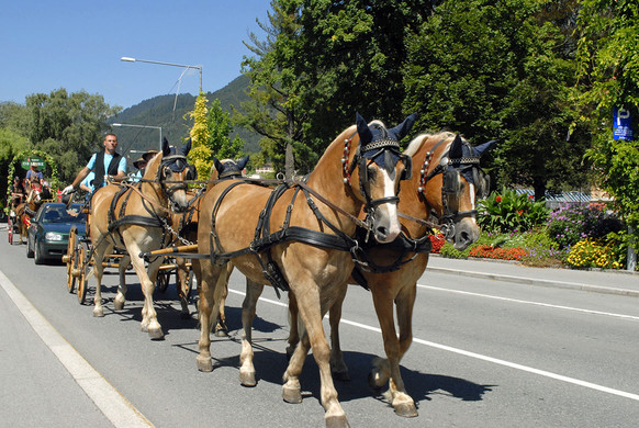 Kutschentreffen - Bludenz - 096 - _c_ Gerhard Scopoli.jpg