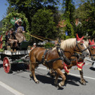 Kutschentreffen - Bludenz - 100 - _c_ Gerhard Scopoli.jpg