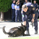 Brandmittelhunde proben den Einsatz