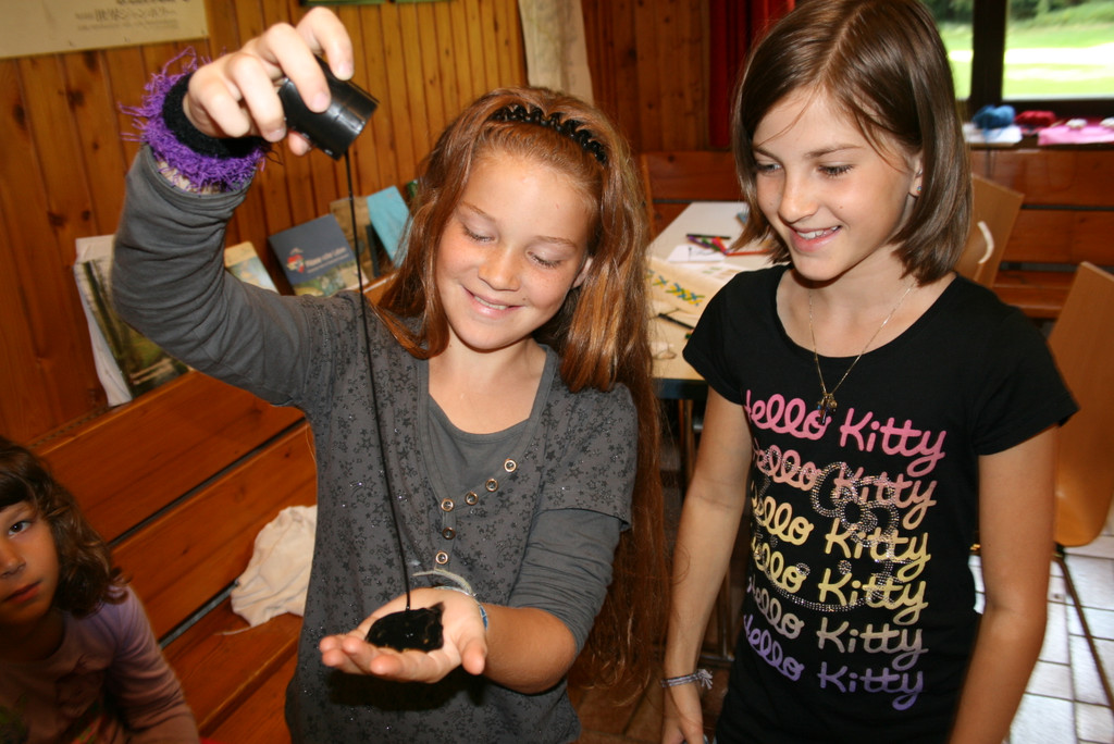 IMG_0232_JPG-1345648927