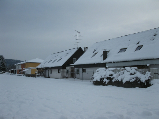 BK_310110 Schneeimpressionen Nofels 427.jpg