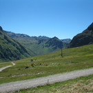 BK_GargellnerK__pfe 4_jpg-1345669485